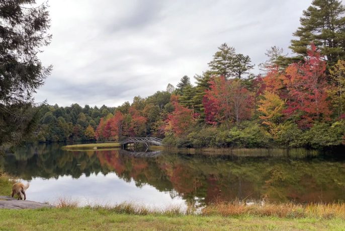 Autumn at camp picturing red, yellow, green and orange leaves with the camp lake