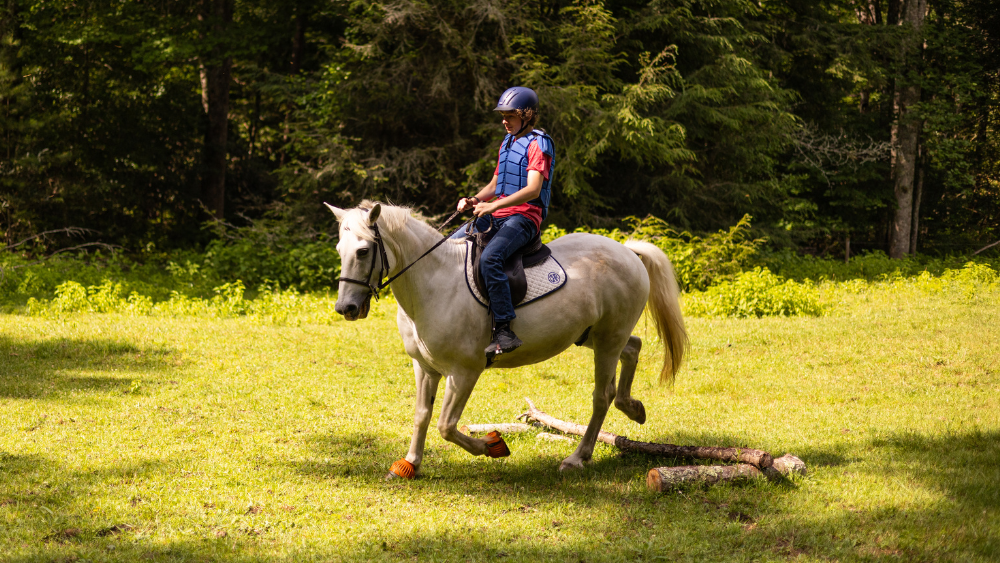 Rider wearing a helmet and blue vest guides a white horse across a grassy field with logs on the ground.